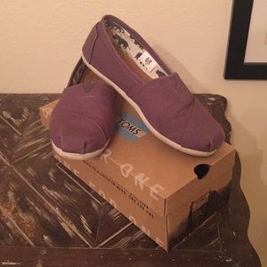 Classic Ash Canvas ( Toms)
